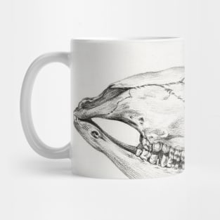 Animal skull Mug